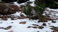 Snow Mountain Images 4k