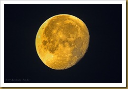 Golden Moon