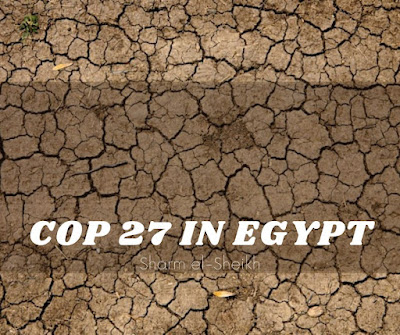 COP27 in Egypt