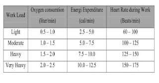 Klasifikasi Beban Kerja Dalam Reaksi Fisiologi