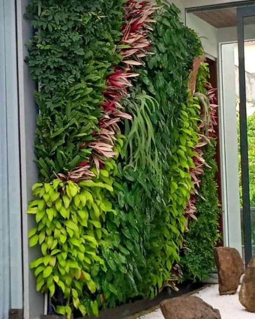 jasa vertical garden