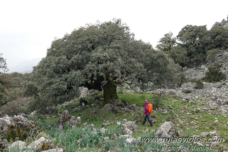 Chorreras del Mitano - Casa de Fardela