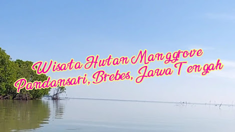 Wisata Hutan Mangrove Pandansari Brebes