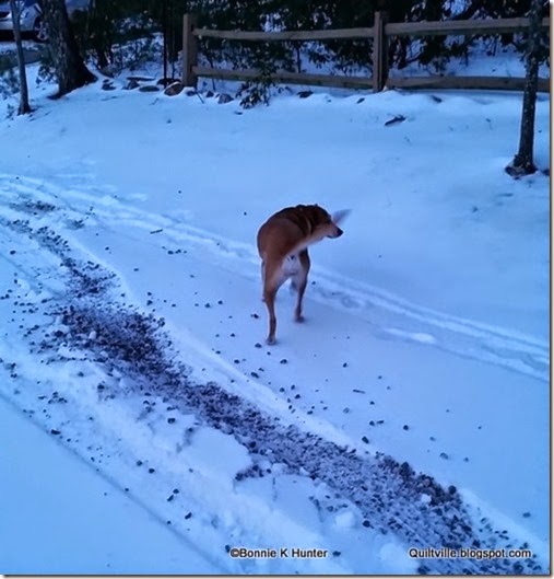 20150220_181726
