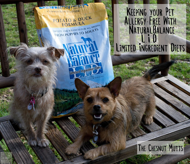 Keeping your Pet Allergy-Free With #NaturalBalance L.I.D. Limited Ingredient Diets®