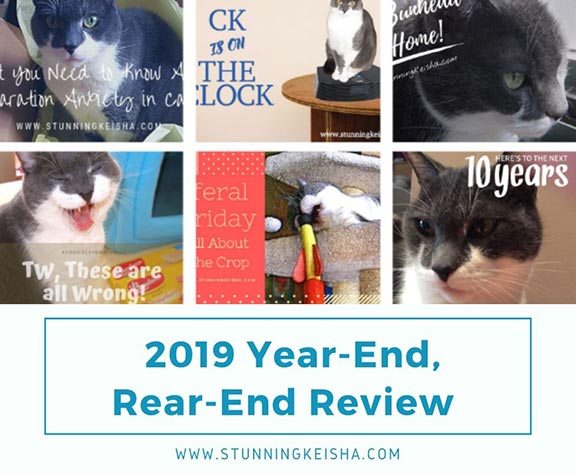 2019 Year-End, Rear-End Review