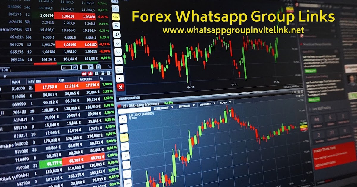 group forex whatsapp