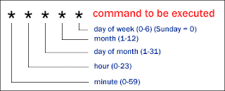 crontab syntax