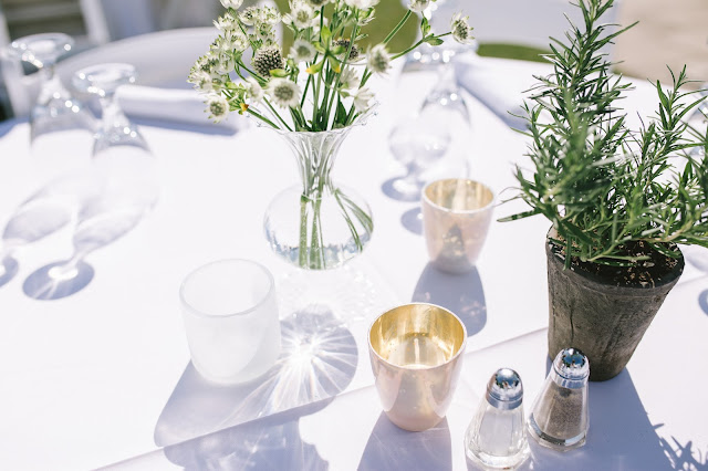 simple white blossoms in a bud vase and potted rosemary centerpiece for a classic white garden wedding in utah