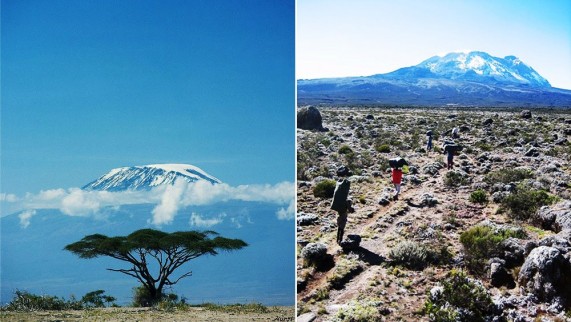 Kilimanjaro National Park, Tanzania