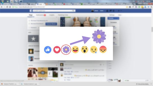 ما السر وراء اضاف فيسبوك رمز "الزهرة البنفسجية" إلى ازرار الانطباعات ؟