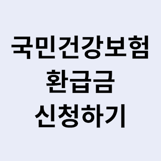 국민건강보험 환급금