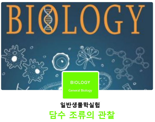 [일반생물학실험]담수 조류의 관찰