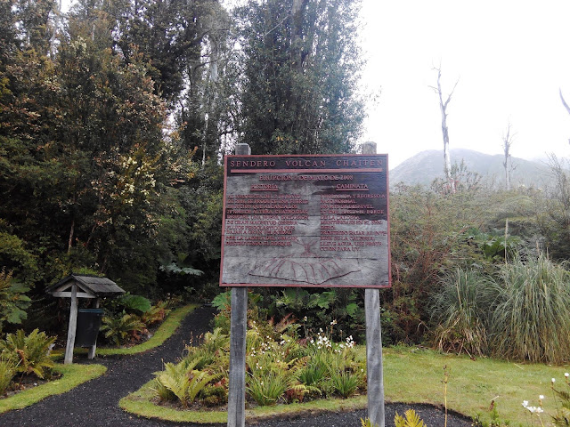 Sendero al volcán Chaitén en Parque Pumalín, Chile