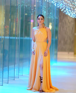 Mehreen Pirzada in Yellow Dress for Zee Apsara Awards 1