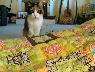 cat and sandi henderson Meadowsweet quilt