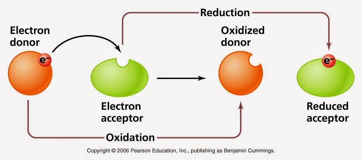  Redoks dan Elektrokimia