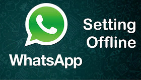 WhatsApp, cara terlihat offline di whatsApp