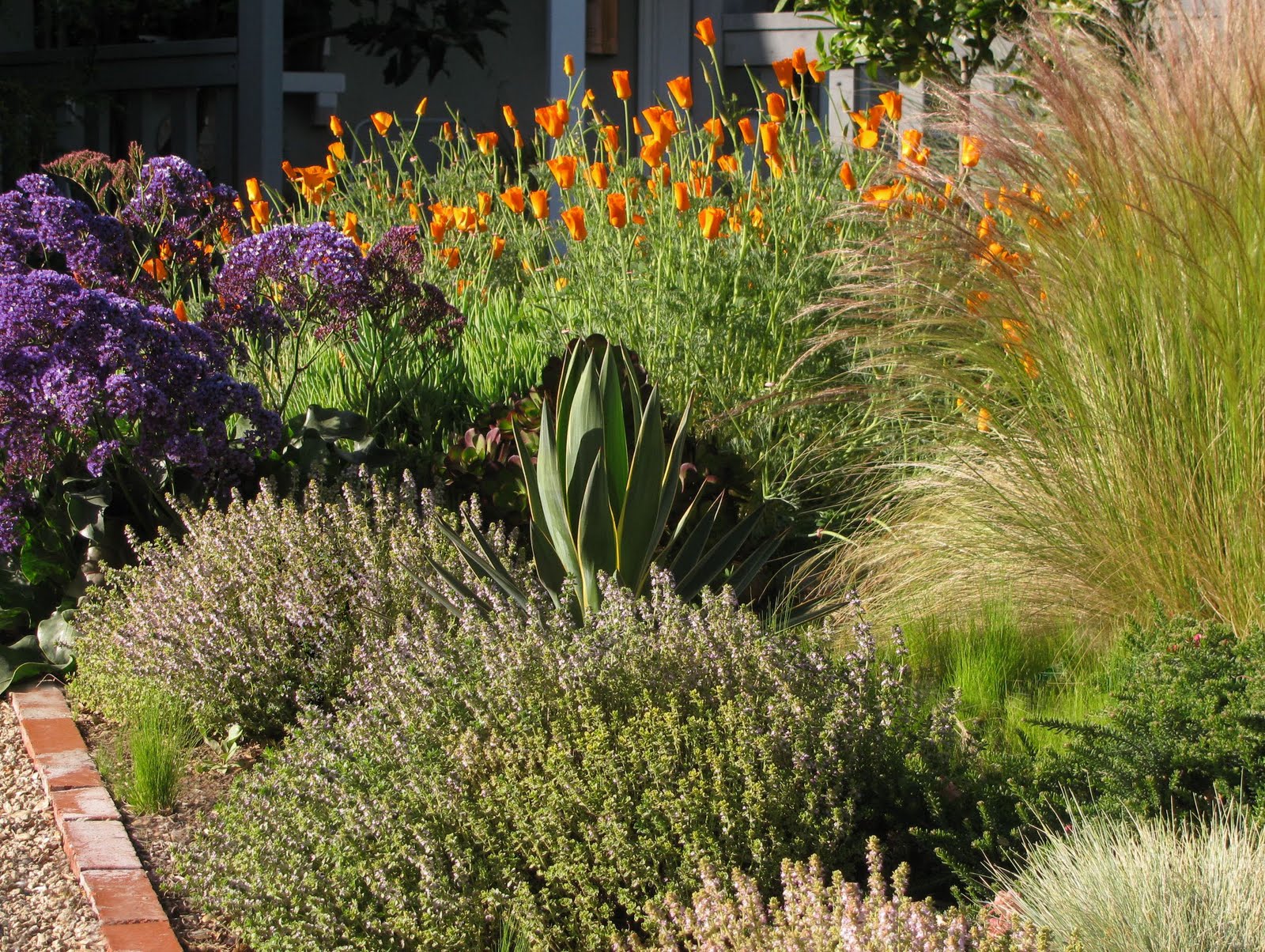 InterLeafings: Garden Designers Roundtable: Lawn Alternatives