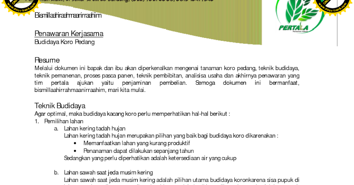 Contoh Format Surat Penawaran Yang Baik & Benar