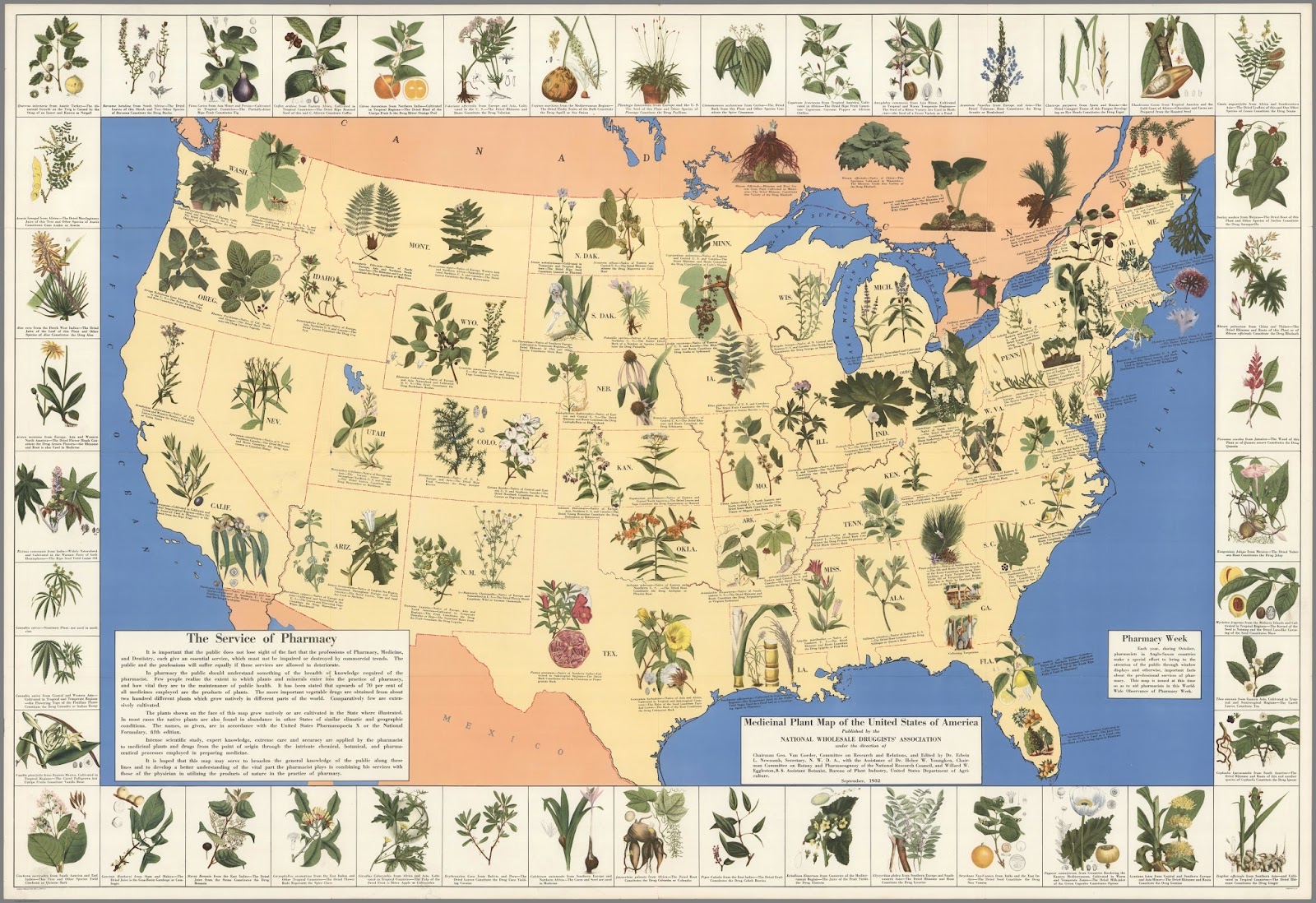 Fascinating 1930’s Pharmacist Map of Herbal Cures Released To Public