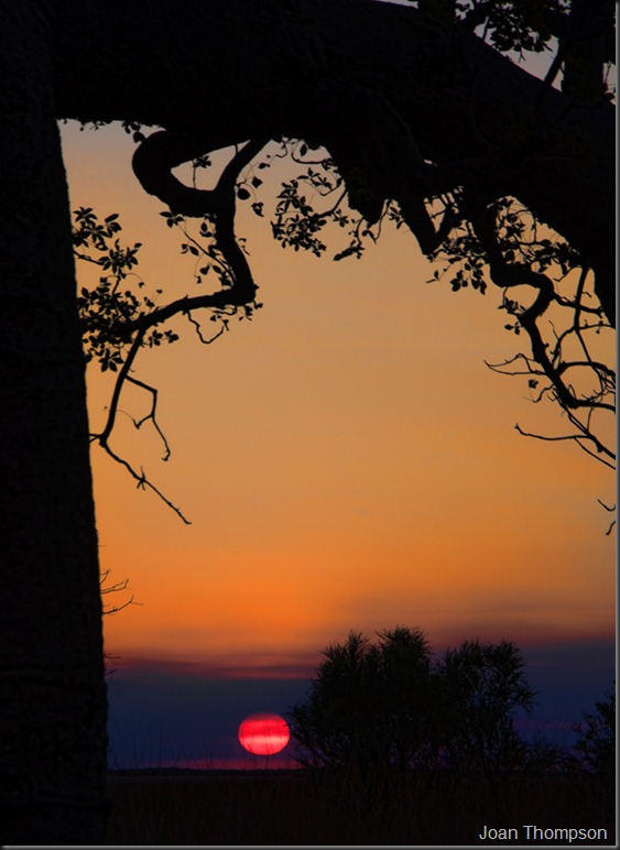 20120604_30web