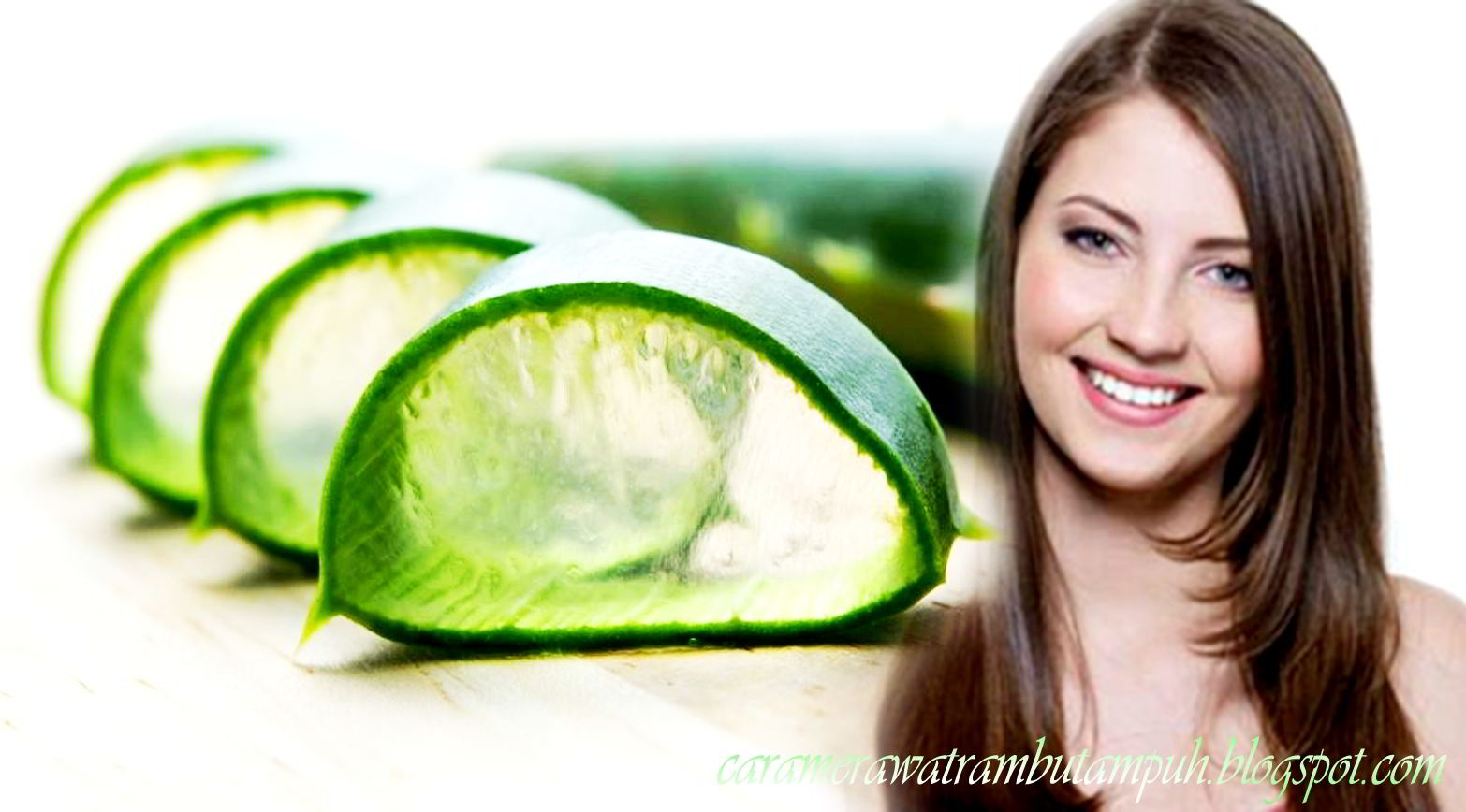 Cara Merawat Rambut Dengan Aloe Vera Dan Minyak Kelapa Tips Cara