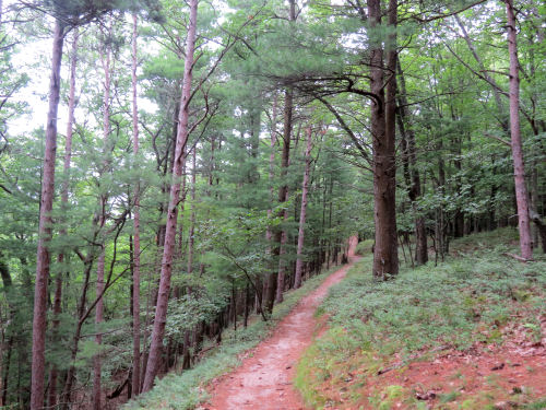 trail in Nordhouse Dunes