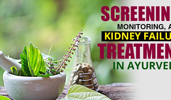 Screening, monitoring, and kidney failure treatment in Ayurveda