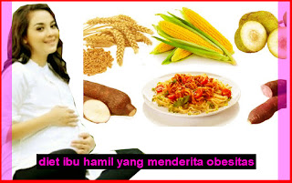 Diet Ibu Hamil Yang Menderita Obesitas 