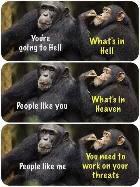 You're Going To Hell Chimpanzees