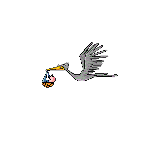 stork