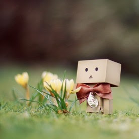 AmazingWallpaperDanbo