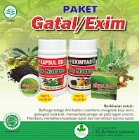 Salep Dan Pil Gatal Eksim Menahun Di Apotik Yang Ampuh