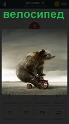 Большой медведь сидит на маленьком велосипеде и крутит лапами педали, набирая скорость