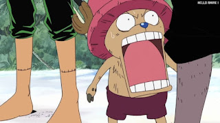 ワンピース アニメ 空島 スカイピア 154話 チョッパー Tony Tony Chopper | ONE PIECE Episode 154 Skypiea