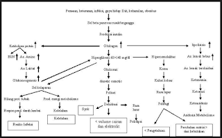 patofisiologis diabetes melitus