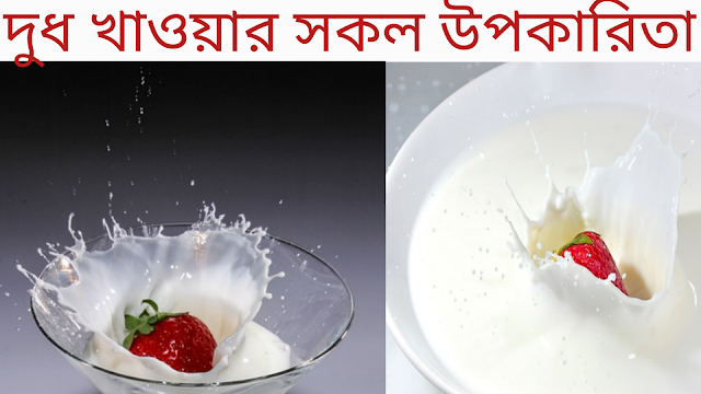 দুধ খাওয়ার উপকারিতা | What are the benefits of milk?