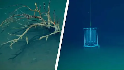 The Mysterious 'Death Pools' at the Bottom of the Ocean: A Glimpse into Earth's Early Days