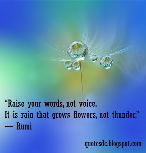 Raise your words, not voice. It is rain that grows flowers, not thunder.