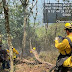 Incendio forestal daña dos hectáreas de bosque en Chiconquiaco