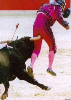 Torero