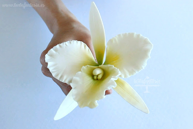 Tutorial  Orquídea