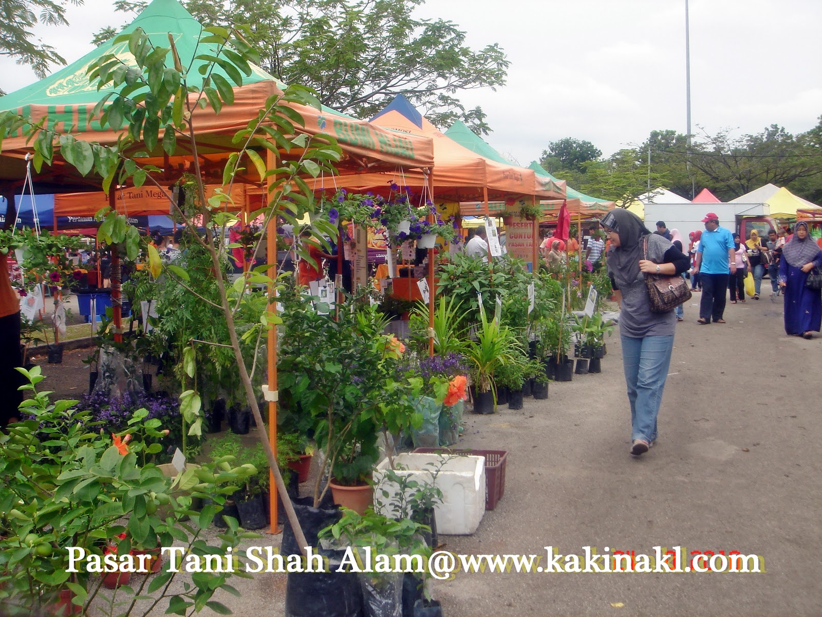 Tertunailah Hasrat Di Hati Pasar Tani  Shah Alam