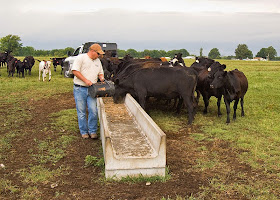 Image result for livestock farmer