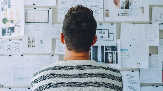 The Essential UX/UI Designer Course