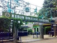 Tempat Wisata Kebun Binatang di Bandung