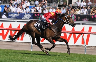 Typhoon-Tracey-Myer-Classic