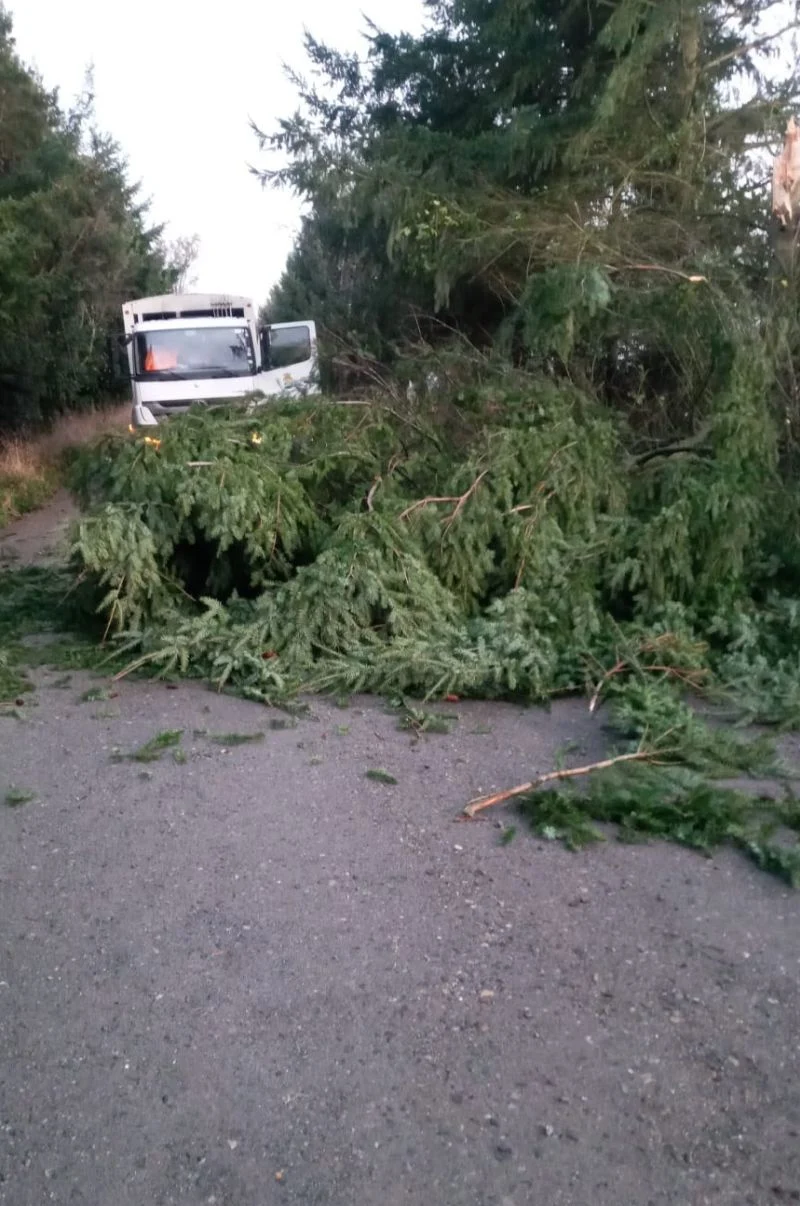 Emergencias por clima en Frutillar