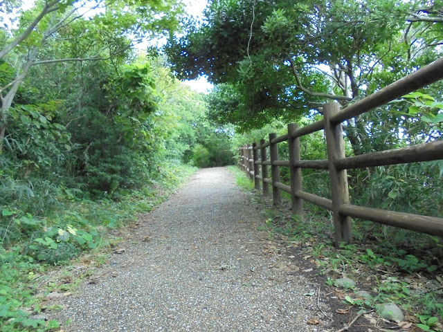 荒磯遊歩道